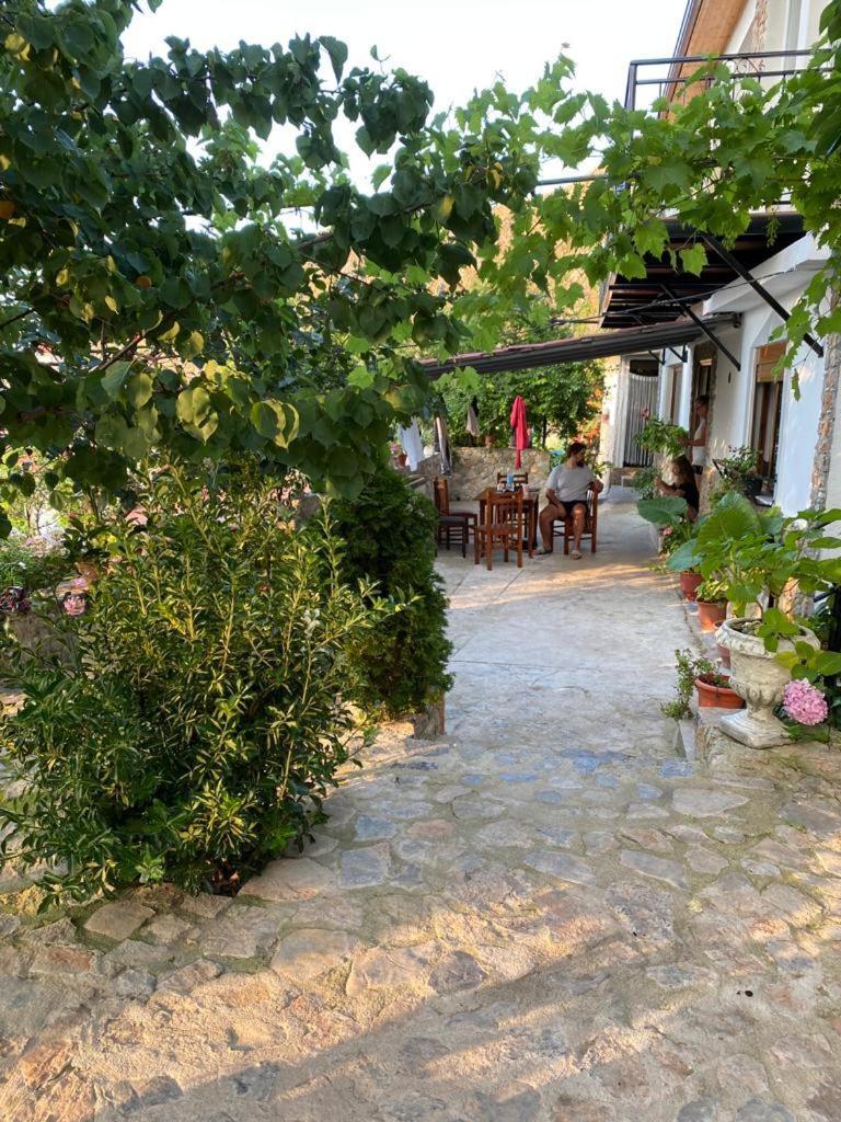 Roleo Guest House Lin Exterior photo